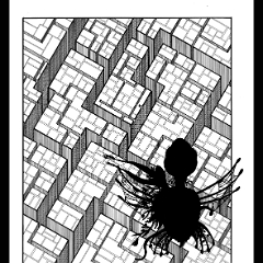 Flying Over the City